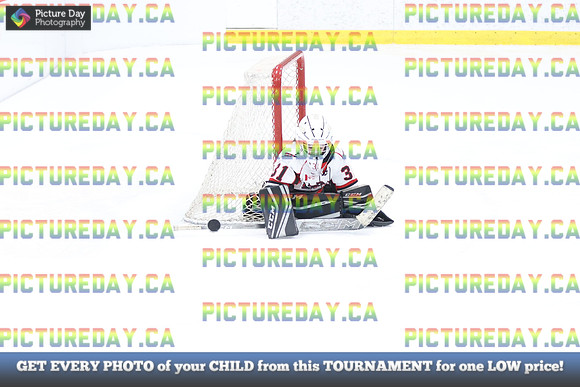 2026-02-15-AS036285