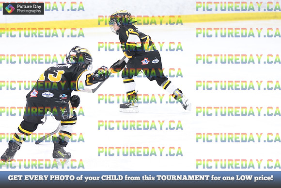 2026-02-15-AS036280
