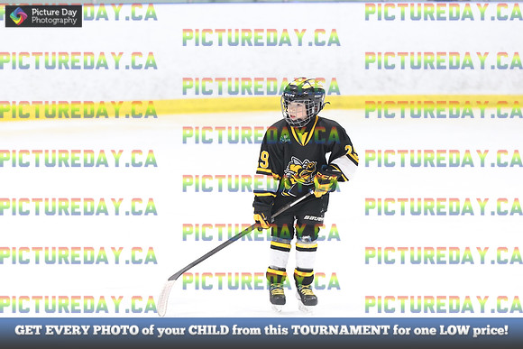 2026-02-15-AS036287