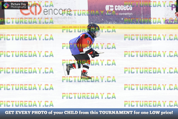 2026-02-15-AS036547