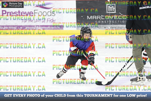 2026-02-15-AS036553