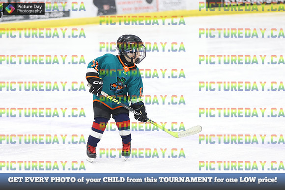 2026-02-15-AS036559