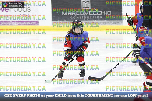 2026-02-15-AS036556