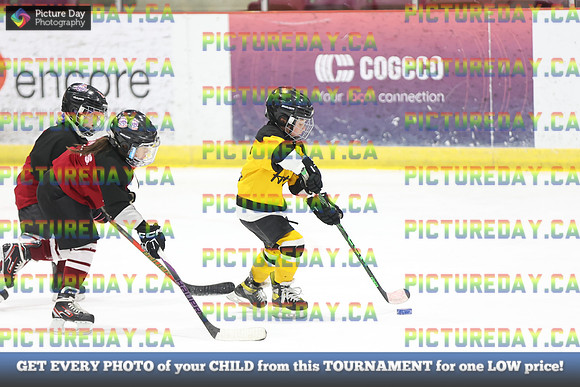 2026-02-15-AS037093