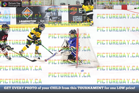 2026-02-15-AS037099