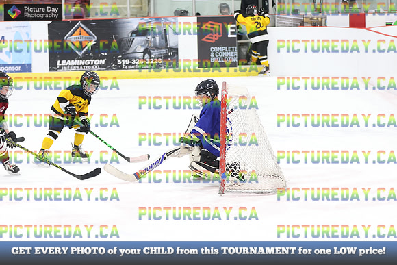 2026-02-15-AS037098