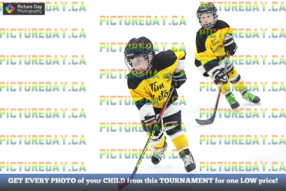 2026-02-15-AS037111