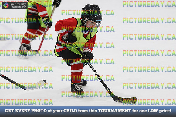 2026-02-21-TW034668