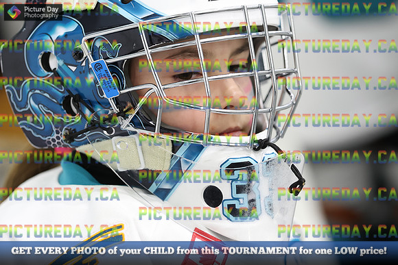 2026-02-27-TW042207