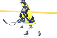 2026-02-27-AS041173