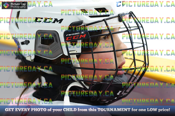 2026-02-28-TW047253