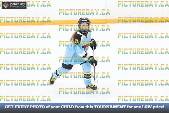 2026-02-28-AS043977