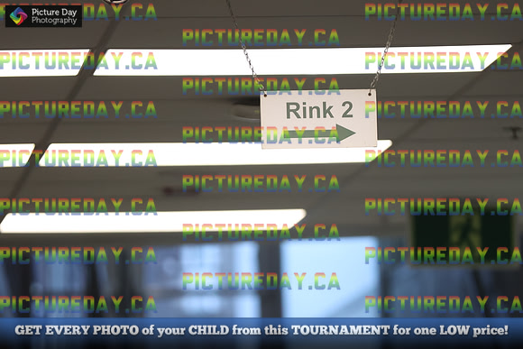 2026-02-28-AS046334