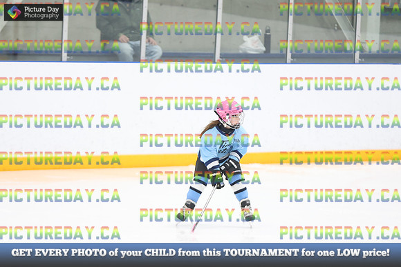 2026-02-28-AS046377