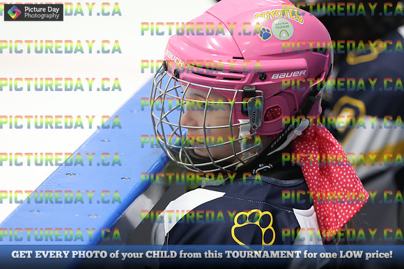 2026-02-28-AS046387
