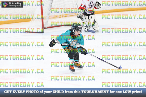 2026-03-01-AS053245