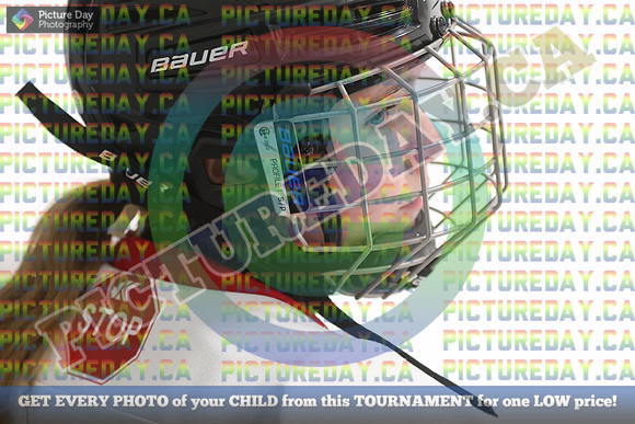 20250131-8896