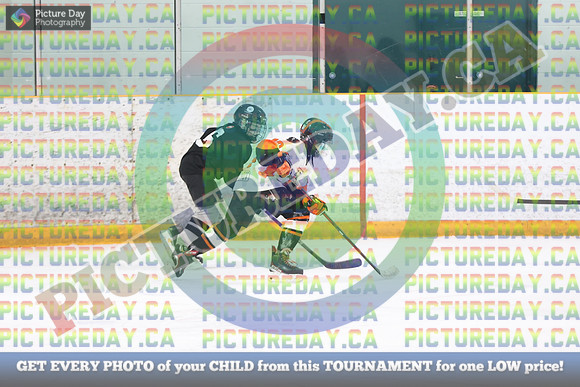 20250131-371731