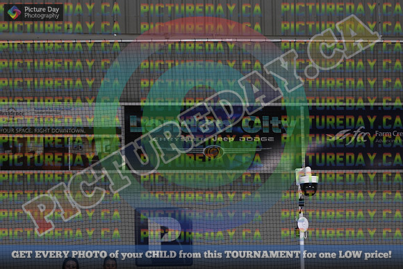20250202-23170