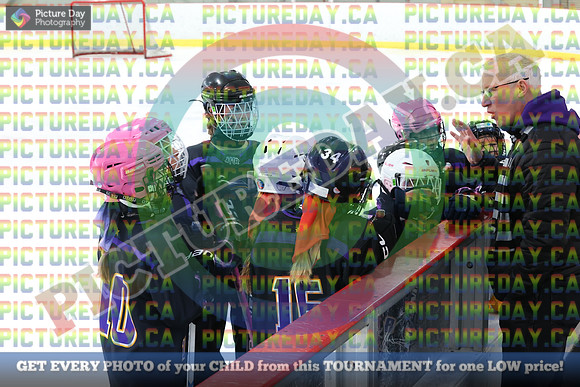 20250209-12666