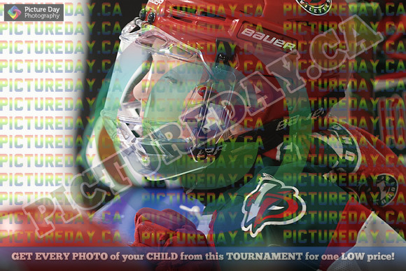 20250202-22968