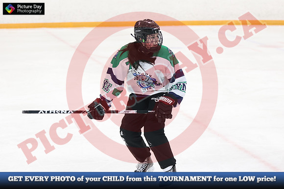 20241215-4037152024 St Marys Sinpers Ringette Tournament