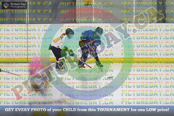 20250404-8631