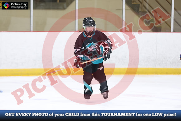 20241214-0412142024 St Marys Sinpers Ringette Tournament