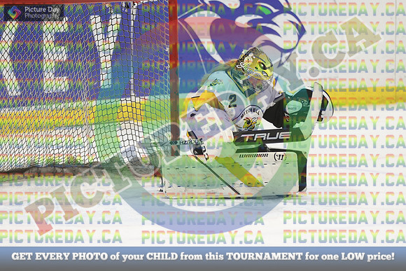 20250314-8593