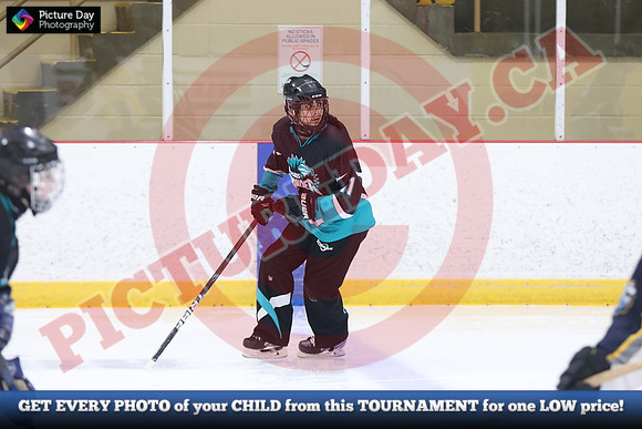 20241214-0380142024 St Marys Sinpers Ringette Tournament