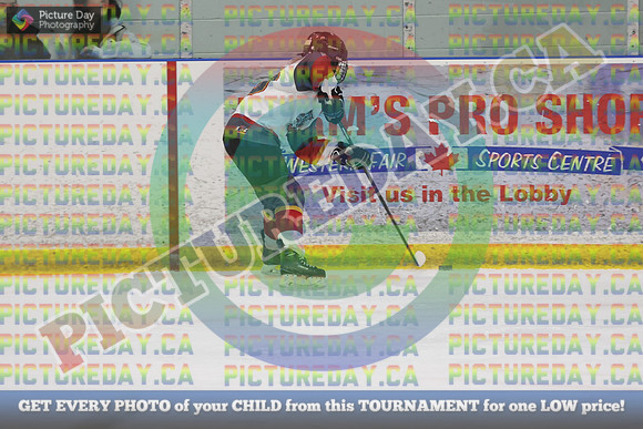 20250131-8868