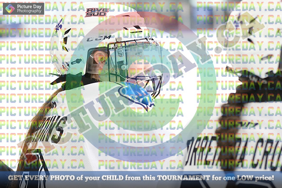 20250404-20370