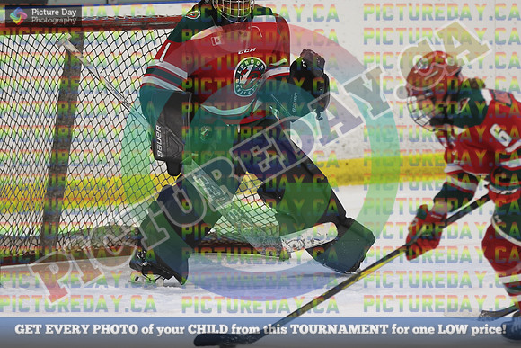 20250131-8909