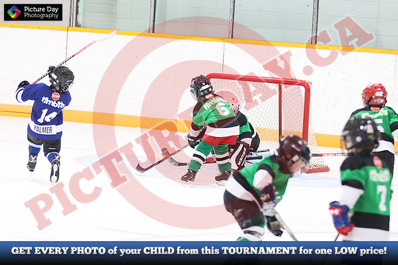 20241108-002082024 Belmont Rangers U7 Rumble