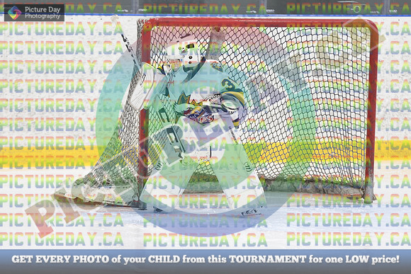 20250119-1936019