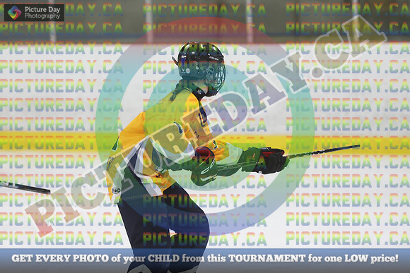 20250208-6352