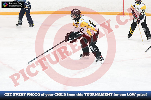 20241214-0239142024 St Marys Sinpers Ringette Tournament