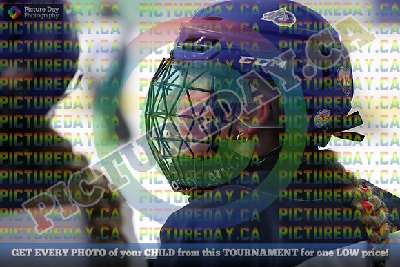 20250331-2529