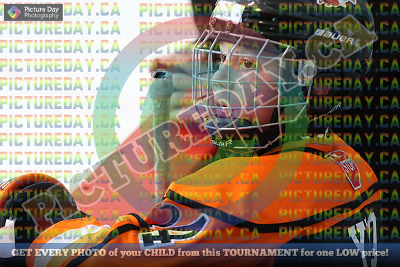 20250124-186424