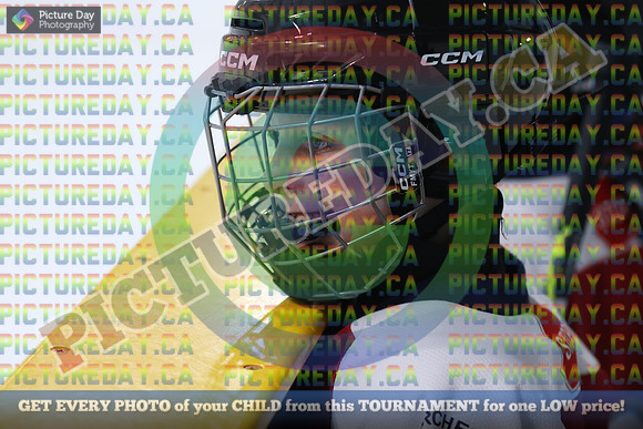 20250131-007331