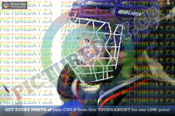 20250208-66478
