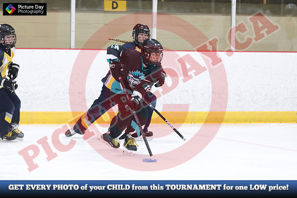20241214-0443142024 St Marys Sinpers Ringette Tournament