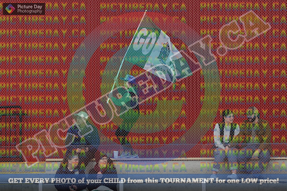 20250331-2204