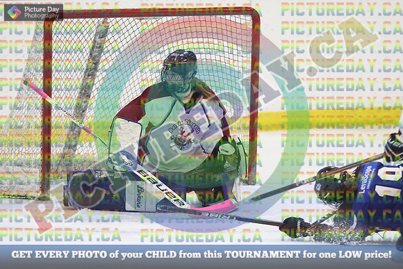20250406-16915