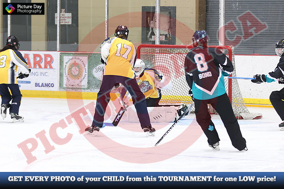 20241214-0376142024 St Marys Sinpers Ringette Tournament