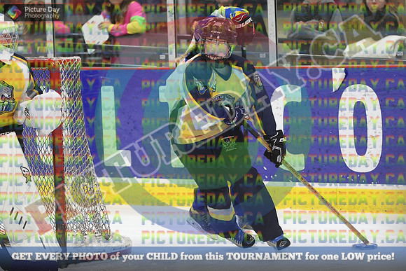 20250314-8275