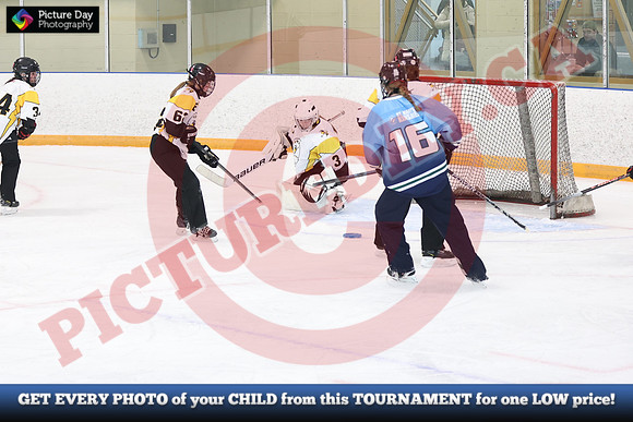 20241214-0263142024 St Marys Sinpers Ringette Tournament