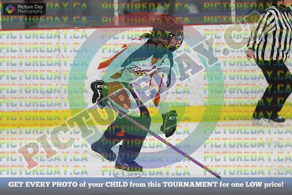 20250208-8052