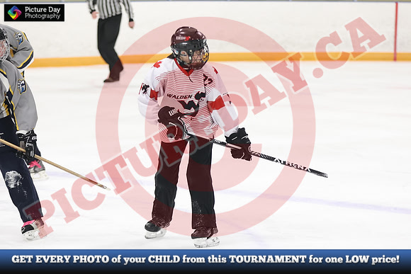 20241214-3025142024 St Marys Sinpers Ringette Tournament