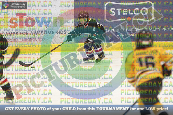 20250308-4653